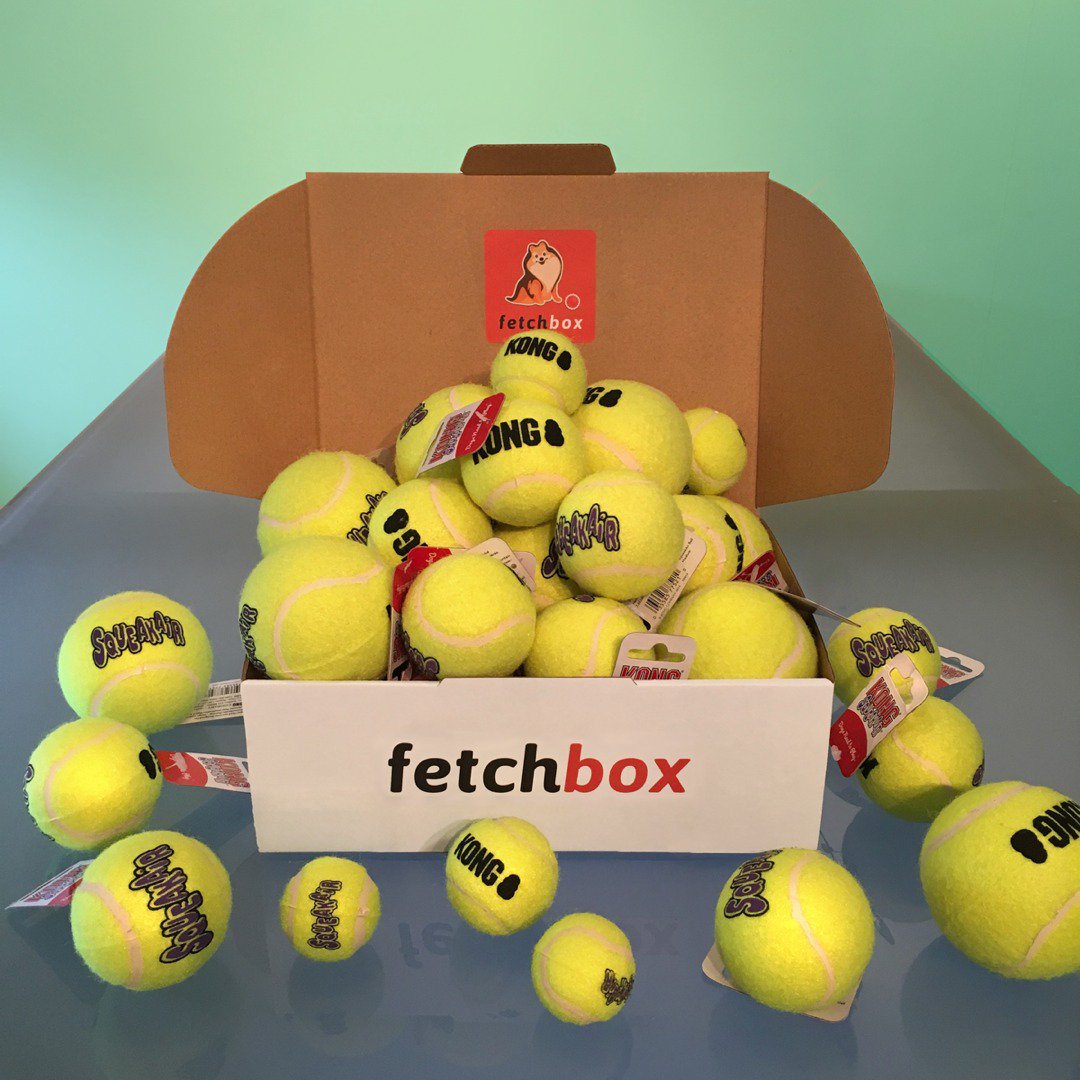getfetchbox's tweet image. 🎾 We're bouncing off the walls today!

#fetchbox ❤️s #KONG

#fetchboxpack #subscribe #dogsoftwitter #dogs #furbaby #ilovemydog #woof