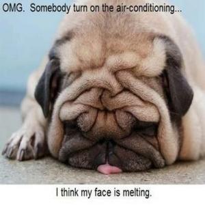 CustomClimateCo's tweet image. Wow Record heat out there be sure to call and schedule if you notice a problem booking is easy call 941-955-2665