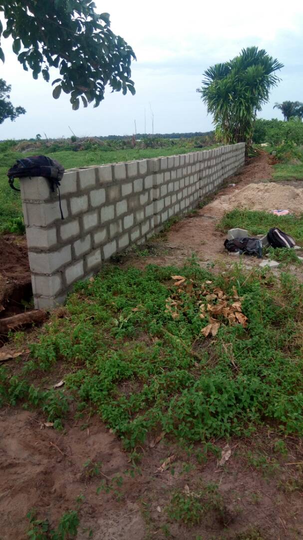 pertinenceltdng's tweet photo. #VIPGARDENS ibeju lekki #osoroko perimeter fencing & clearing, #TGIF #TGIFridays #MellowFriday #ABCGARDENS @wisemanezekiel @olorunsheyi https://t.co/JYc3MU7JTZ