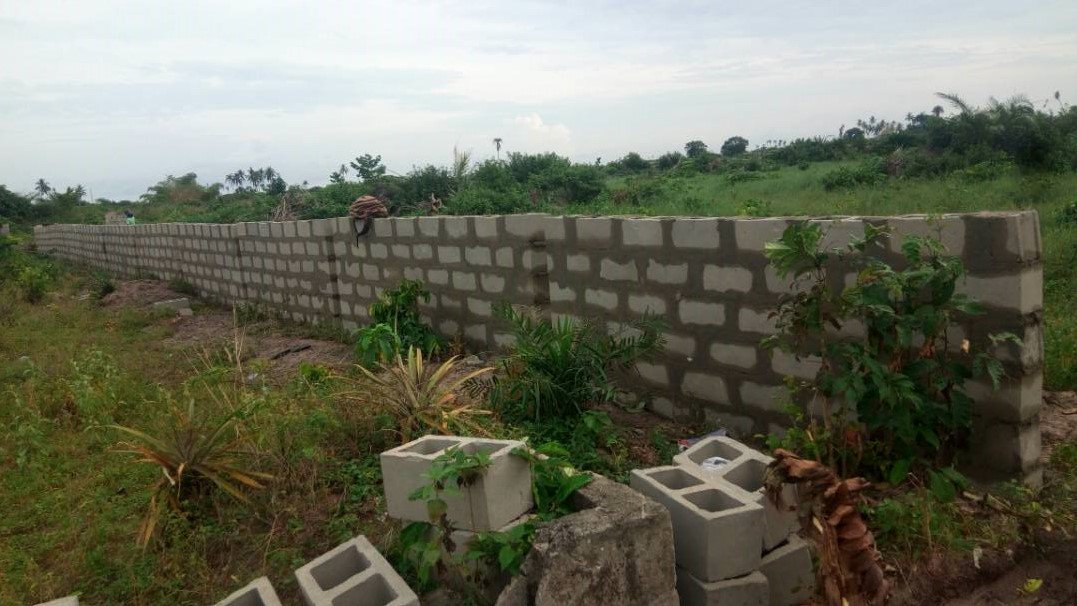 pertinenceltdng's tweet photo. #VIPGARDENS ibeju lekki #osoroko perimeter fencing & clearing, #TGIF #TGIFridays #MellowFriday #ABCGARDENS @wisemanezekiel @olorunsheyi https://t.co/JYc3MU7JTZ