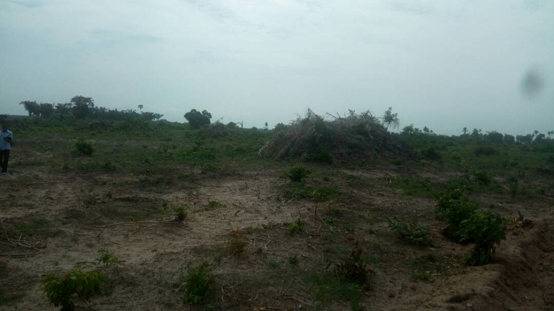 pertinenceltdng's tweet photo. #VIPGARDENS ibeju lekki #osoroko perimeter fencing & clearing, #TGIF #TGIFridays #MellowFriday #ABCGARDENS @wisemanezekiel @olorunsheyi https://t.co/JYc3MU7JTZ