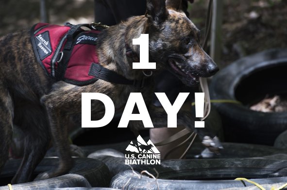 SouthernCoastK9's tweet photo. Tomorrow's the big day! Who's excited? #2017USCanineBiathlon https://t.co/kGPB3eDyII
