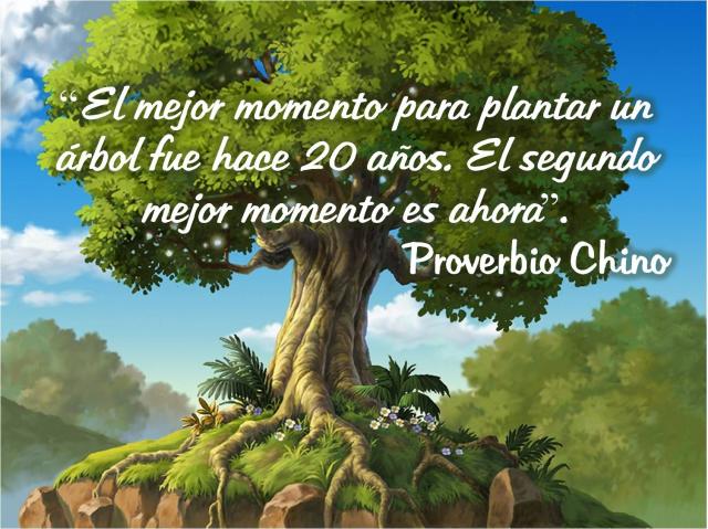 J__Toruno's tweet photo. El mejor momento para plantar un árbol fue hace 20 años...
 #CambioClimatico
#medioambiente 
 #SaveOurPlanet https://t.co/Vy6SweXMgl