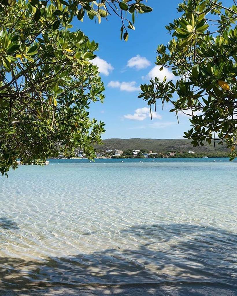 tiratepr's tweet photo. Así o más clarita?
✅ Guilligans Island, Guánica
📸 @jerryvelez24
👥 Taggeanos #tiratepr
Llévate Tu Basura
#cayoaurora #guilliganisland #guani… https://t.co/5pHJPrObLl