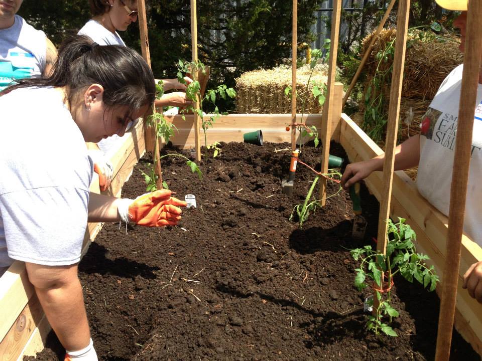Did you know that living near vegetation appears to be linked to a longer life and better mental health? #CreatingHealthySchoolsCommunities