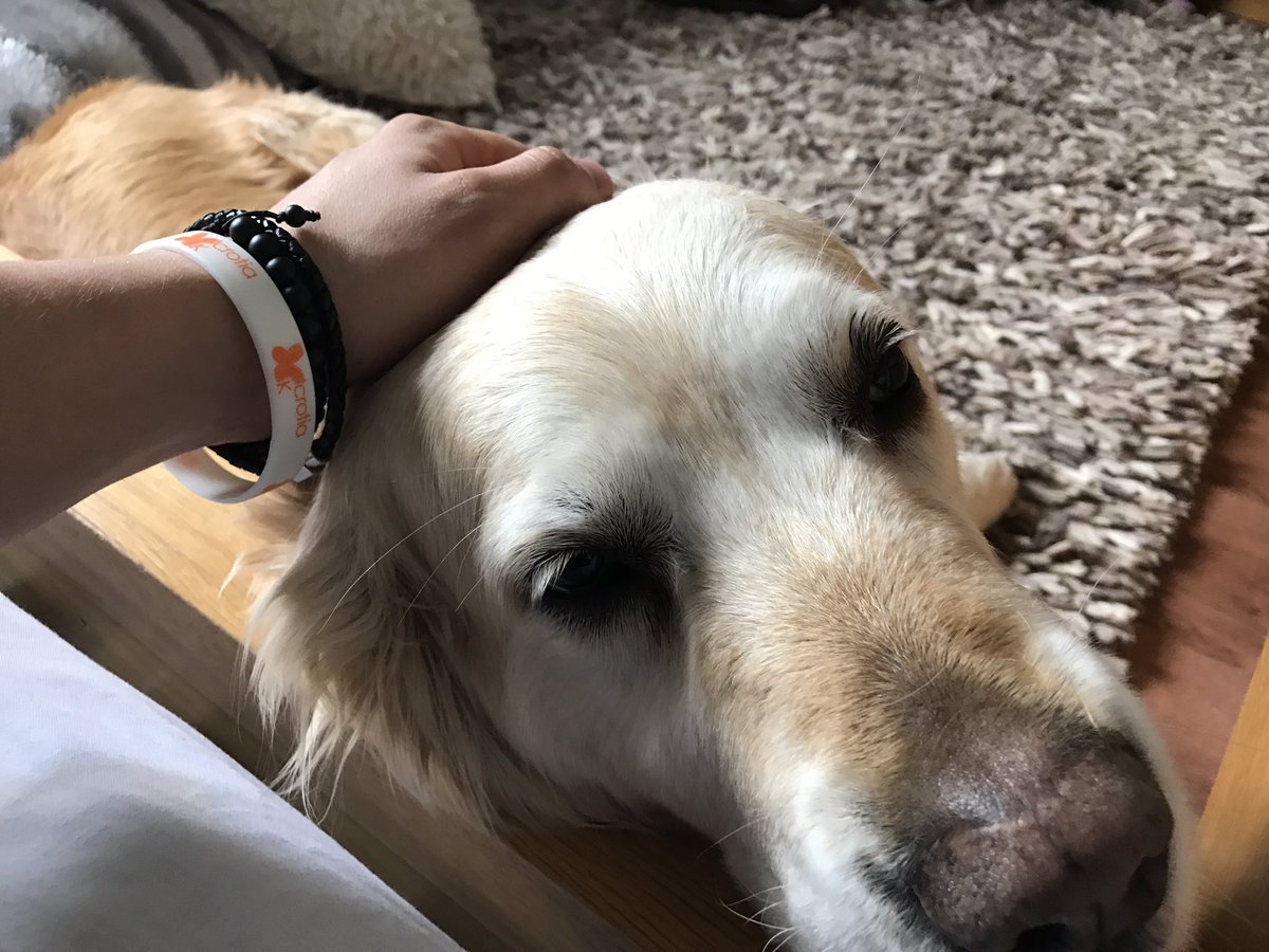 TheVampsBrad's tweet photo. Got woke up by this one, Birmingham tonight, rather excited 💃 https://t.co/jdzCSQtCXY