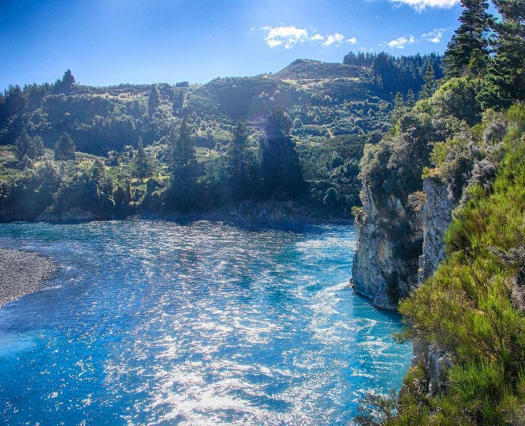 rakaia hashtag on Twitter