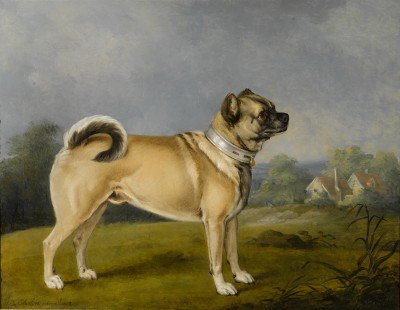 PugClubEC tweet picture