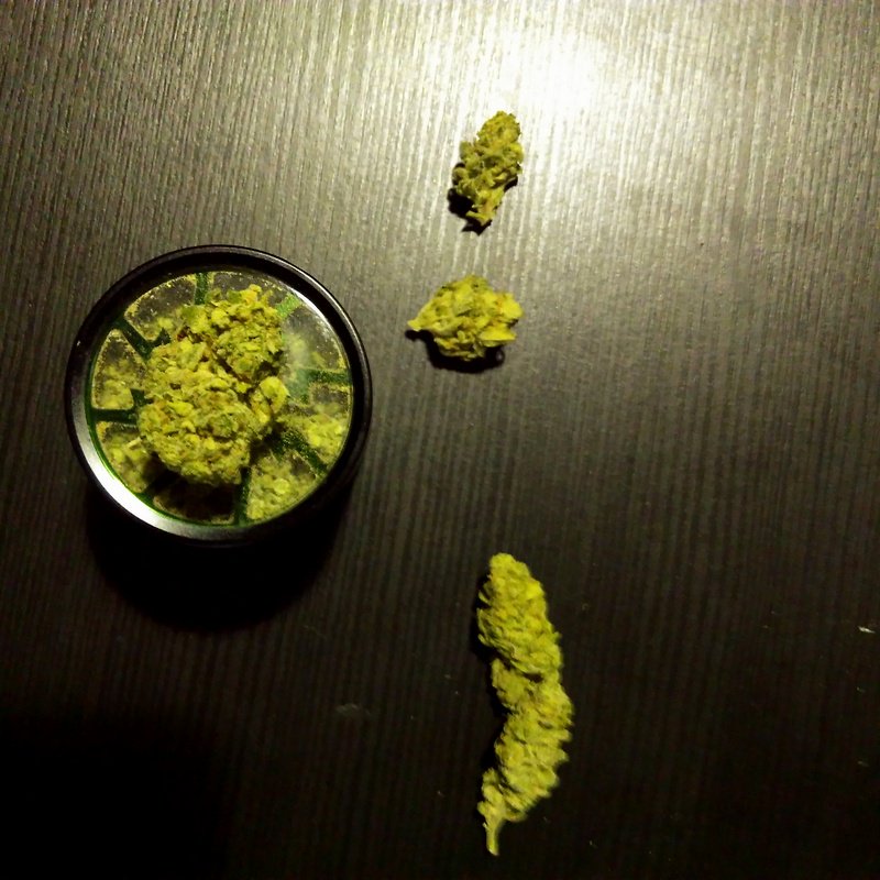 bcn_green's tweet photo. Hmmmm... I need to get a bigger grinder :( them 420 problems ...

#smoking #big #potent #marijuana #blunts #weedlove 
#dank #barcelona #420 https://t.co/mukV2TTjNV
