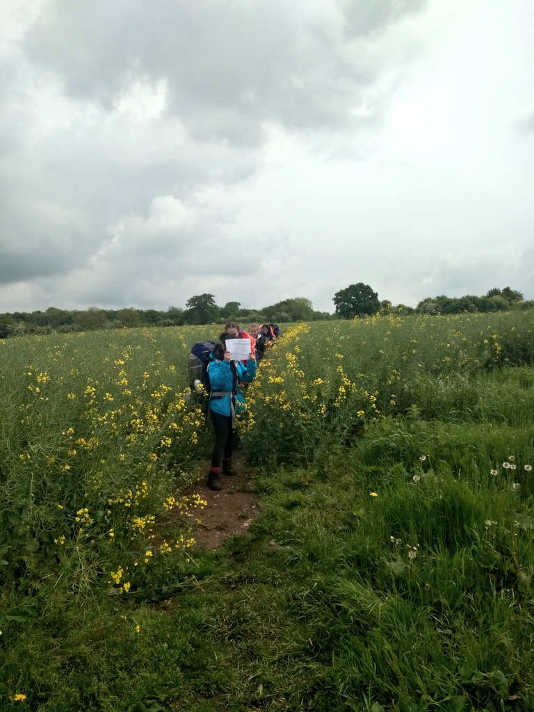 kngsdofe's tweet photo. Who said there aren't any nice places to walk in the Midlands 👍 #goniceplaces https://t.co/ZkOWOQ2miI