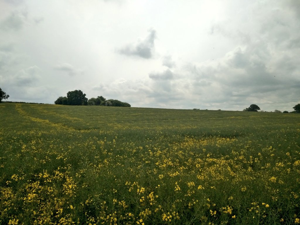 kngsdofe's tweet photo. Who said there aren't any nice places to walk in the Midlands 👍 #goniceplaces https://t.co/ZkOWOQ2miI
