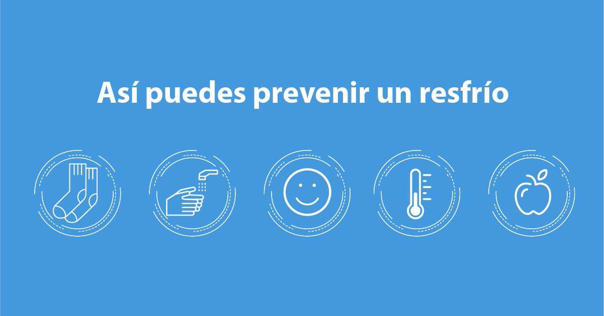 Policenter_cl's tweet photo. Para prevenir un resfrío:
1 Lávate las manos 
2 Abriga tus pies 
3 No te estreses 
4 Cuidado con cambios de temperatura
5 Consume vitaminas https://t.co/Ucpyel7SjC
