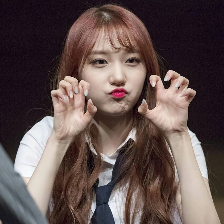 spawngur's tweet image. Halo!! Hai!! Bonjour!! Annyong!! Spada!!!

Kenalan sama bidadarinya pristin dulu kuy :) dijamin berkah