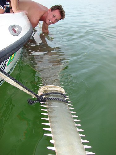 SharkColin's tweet photo. Since it is #flatsharkfriday and #EndangeredSpeciesDay check out the global #sawfish conservation strategy https://t.co/YMQiZFDJ9A https://t.co/Cq8b5yxgPZ