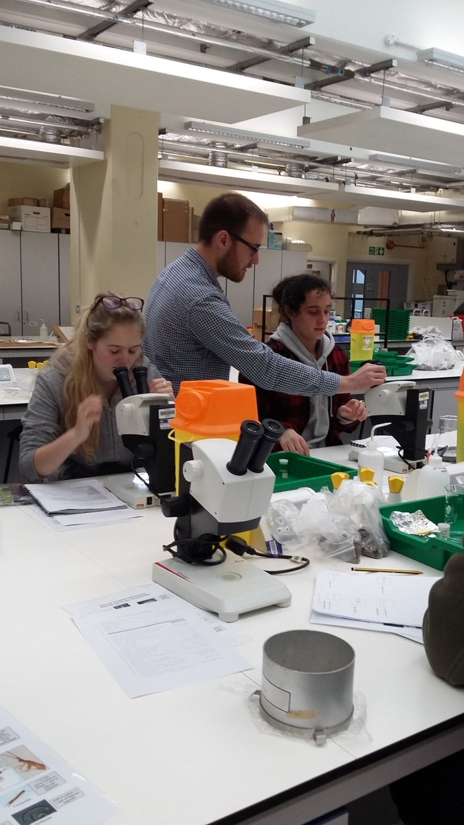 KorichevaLab's tweet photo. Day 5 of @RHULBioSci practical field ecology course continues in the lab: identifying soil inverts with expert help from @JamesHourston https://t.co/ZHRb7BPpPQ