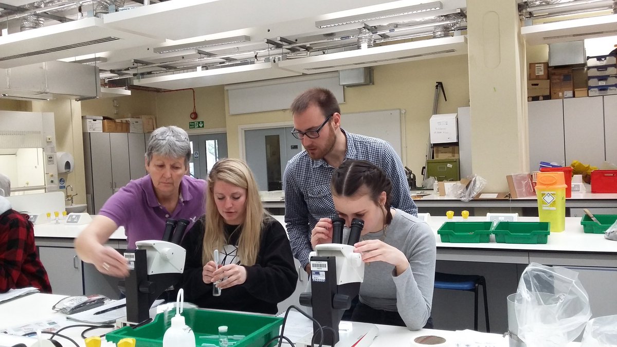 KorichevaLab's tweet photo. Day 5 of @RHULBioSci practical field ecology course continues in the lab: identifying soil inverts with expert help from @JamesHourston https://t.co/ZHRb7BPpPQ