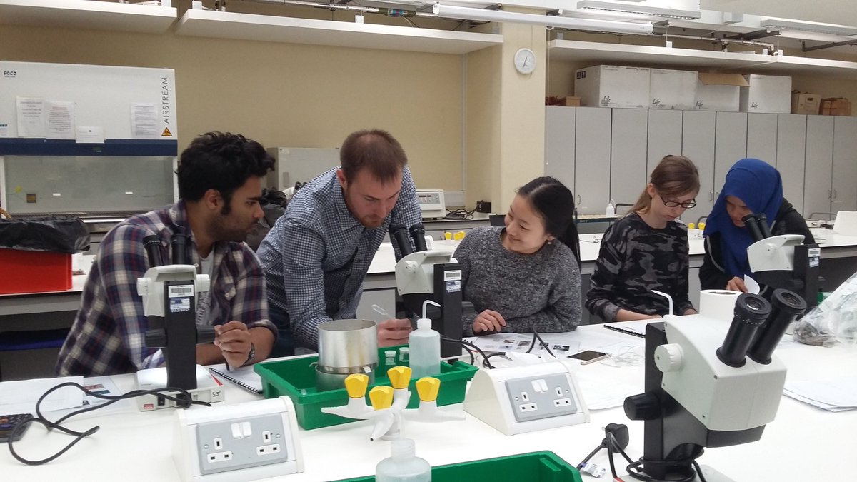 KorichevaLab's tweet photo. Day 5 of @RHULBioSci practical field ecology course continues in the lab: identifying soil inverts with expert help from @JamesHourston https://t.co/ZHRb7BPpPQ