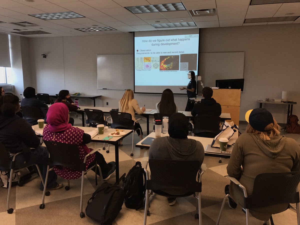 DFB2017's tweet photo. Yesterday, @Buttitta_Lab gave an amazing lecture about the cell cycle and how we study it in the lab! #dfb2017 #devbio https://t.co/3DMJ0JIKMu