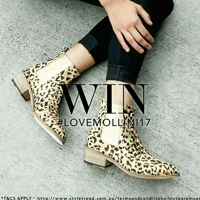 bargainbaglady's tweet photo. What girl doesn't need more shoes? 💁👠 × × × #lovemollini17 #instacomp #shoelust #shoeenvy #aussiebloggers #mollini #styletread #winnerwinner https://t.co/lz83ryPx2U