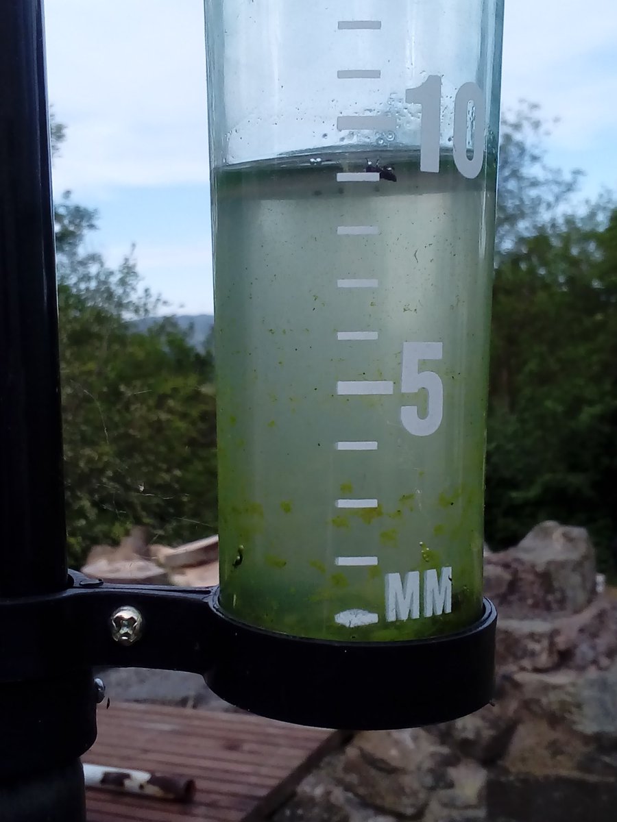 CaeMain's tweet photo. North Wales! Less than 1cm of rain in the last month. #needsomerain https://t.co/QC1kyAP4Pe