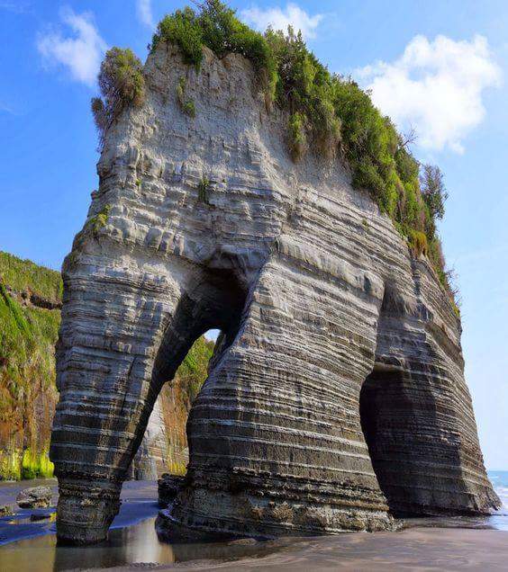IsabelCom_'s tweet photo. Elephant Rock, New Zealand 😘😘😘 https://t.co/BXHHKCzoUJ