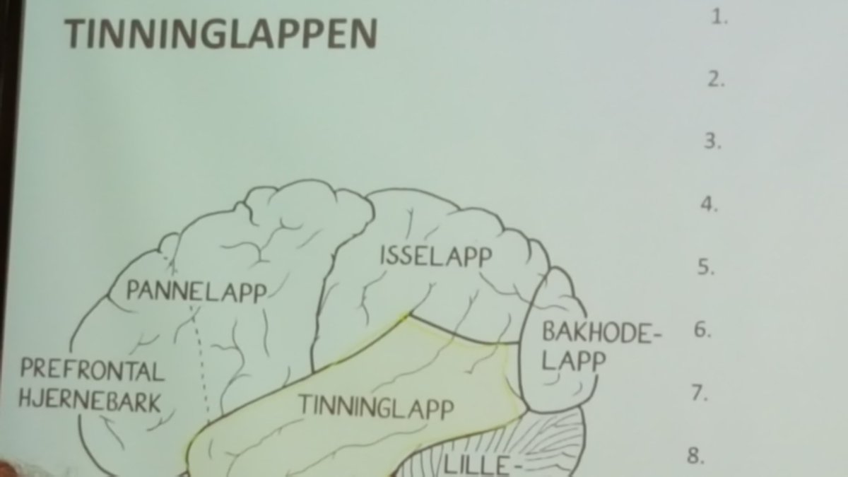 ICFNorge's tweet photo. Kaja Nordengen trener vår hukommelse på Coachingkonferansen i @ICFNorge . Hjernen er stjernen! #ExperienceCoaching https://t.co/0dSz30uaSA