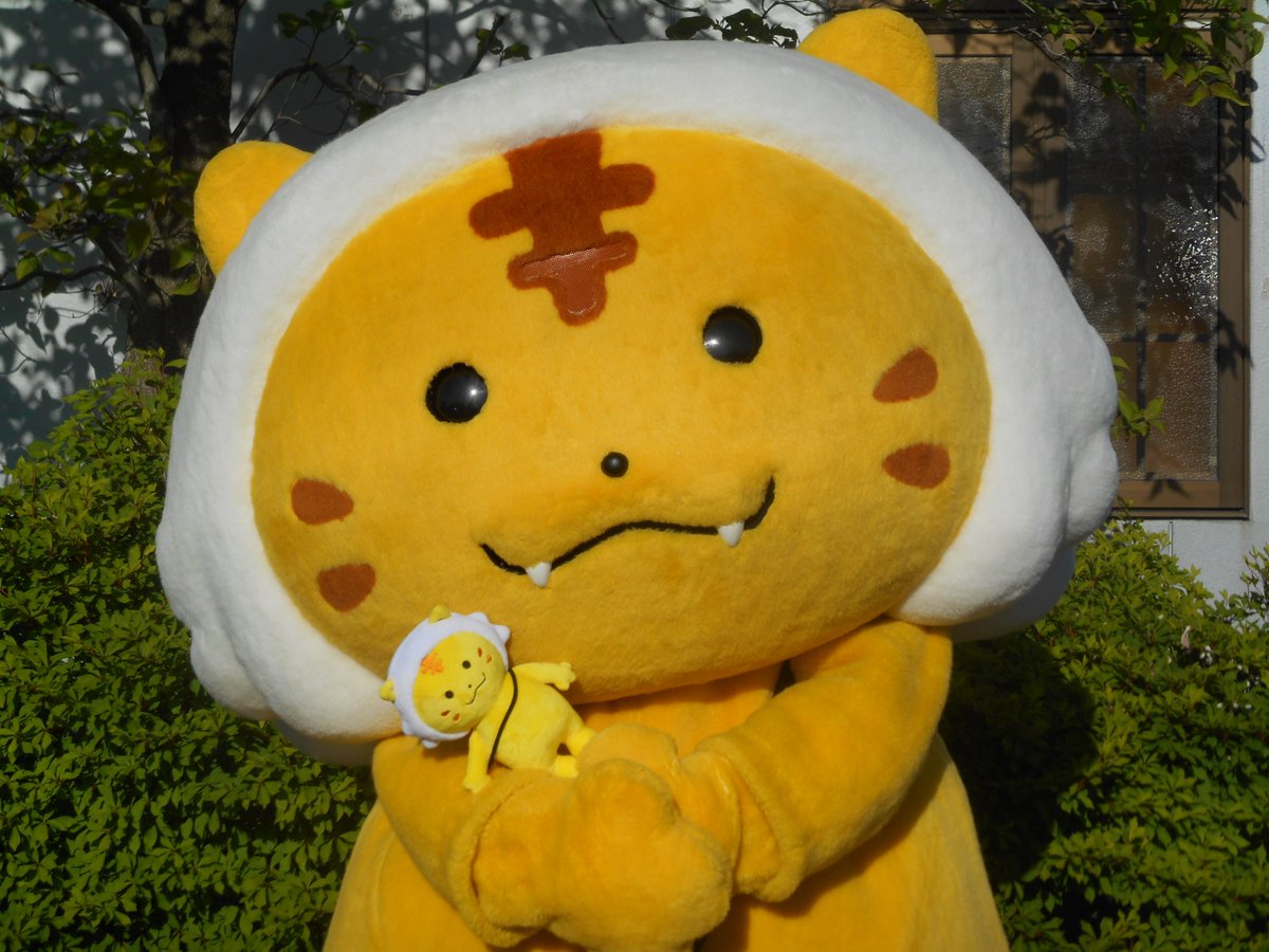 かみ ご 加美町公認キャラクター ボクのぬいぐるみができただ ご 三 W 三 中新田とらの子スタンプ会のスタンプカード４枚と交換できるよぉ みんなのお家に置いてほしいだ ご