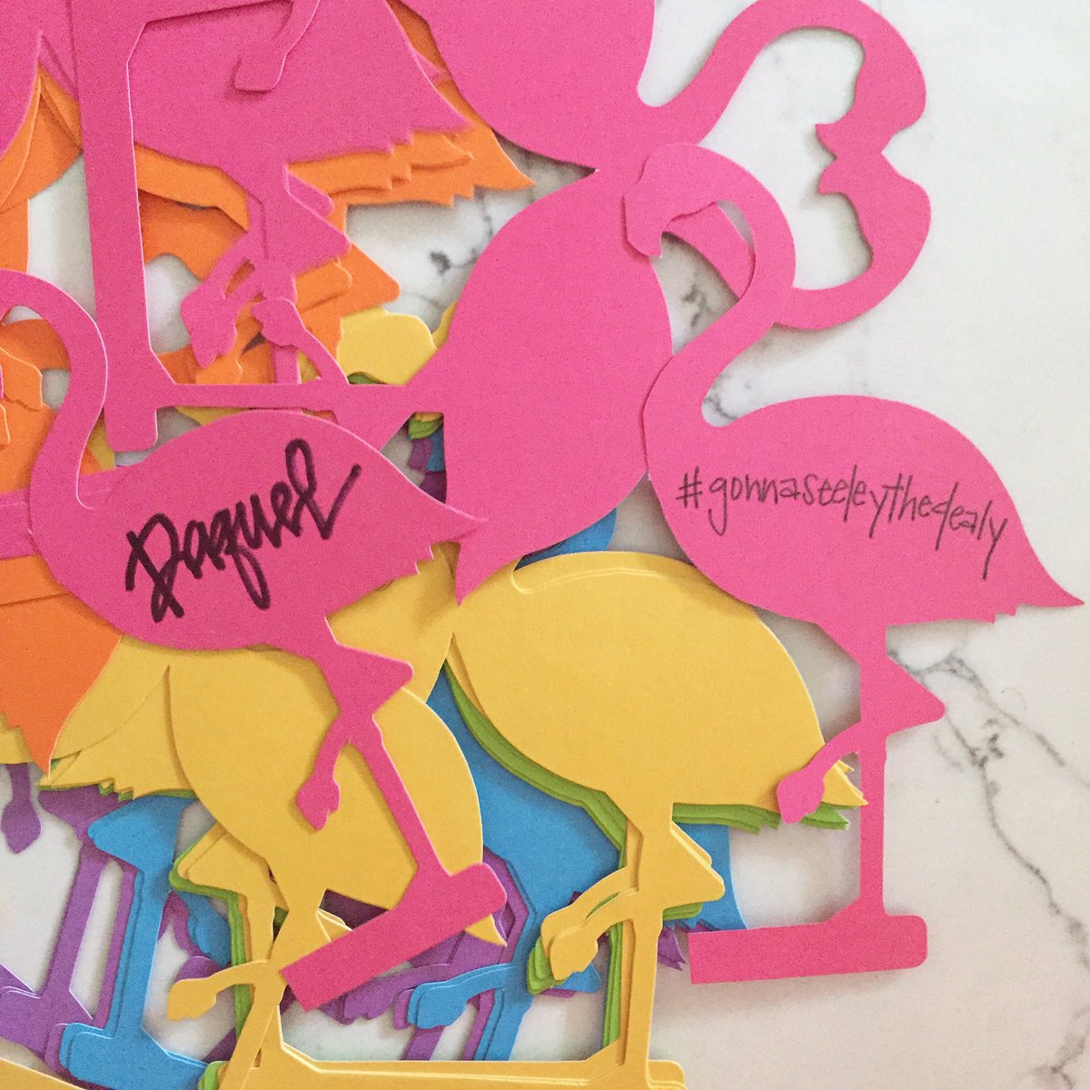 bdnplatt's tweet image. Headed to #PalmSprings in a couple of hours. Can you tell I can't sleep?