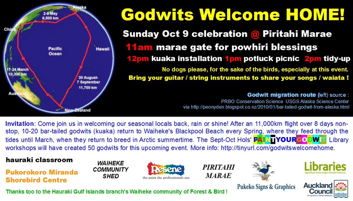 HaurakiClassrm's tweet photo. inaugural Godwits Welcome Home @ Piritahi Marae, Waiheke, NZ 2016 Oct 9 powhiri + installation + picnic https://t.co/U7SVFBBOcE #godwits https://t.co/fX4KqbWW8B