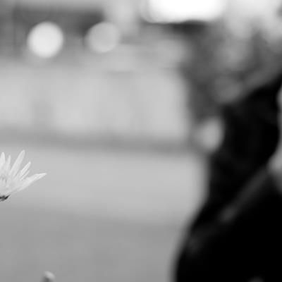 Allergies, big and small, seem to be on the increase and there are many theories as to why... buff.ly/2qDg3Xi