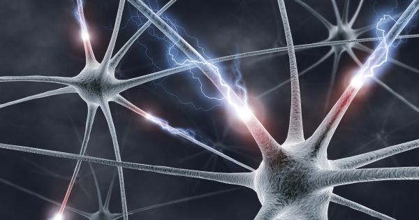 Pressalit1954's tweet image. New Electrical Brain Stimulation Could “Awaken” Comatose People buff.ly/2qZ4TiG #Coma #HealthDesign #PushLiving