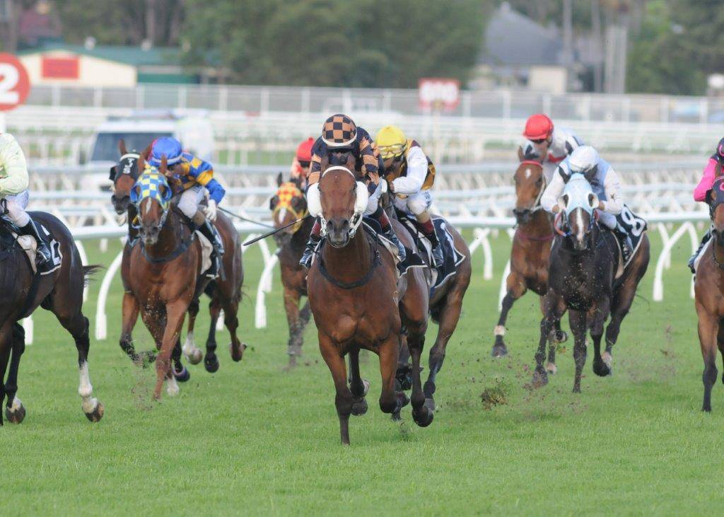 GrandSyndicates's tweet photo. All set for Man Of His Word's return tomorrow in the G3 BRC Sprint!🏆
Launching pad for a big year!💰
#TeamGrand #HesBack #AGrandAShare https://t.co/0jt6PDmjNl
