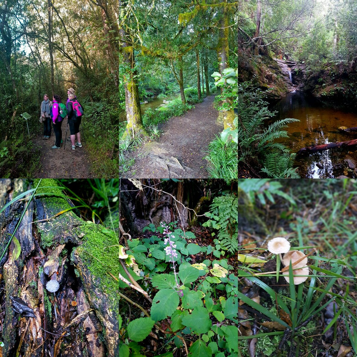 Can't this be office again for the day? Thanks <a href="/gotravelbug/">Travelbug Rose🐞</a> for inspirational BDay Celebration!@BlackwatersInfo <a href="/Knysnawhales/">Ocean Odyssey whale watching Knysna</a> <a href="/WayWarrior/">Joanne Scholtz</a>