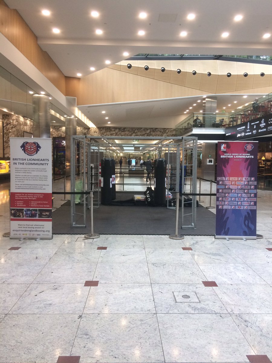 BLionhearts's tweet photo. Come on down to meet @Brit_Lionhearts at 1:30pm at @yourcanarywharf @WSB_Boxing ticket giveaway @England_Boxing @mikehunter1965 https://t.co/m5qWC23KvN