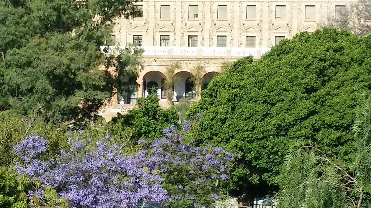 ApiMadrid's tweet photo. Desde Málaga,  con la FP https://t.co/VV4b9CzFOs