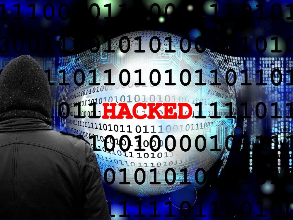 virus botnet todas las noticias de última hora fotos y vídeos en