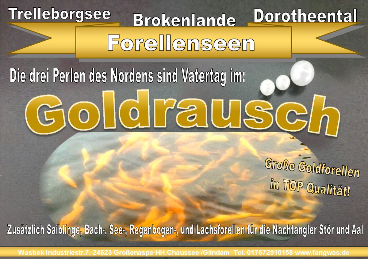 AngelsportSH's tweet photo. Gold...fever :)
#forellenangeln #Angeln #Forellensee https://t.co/eWtgKg0toQ