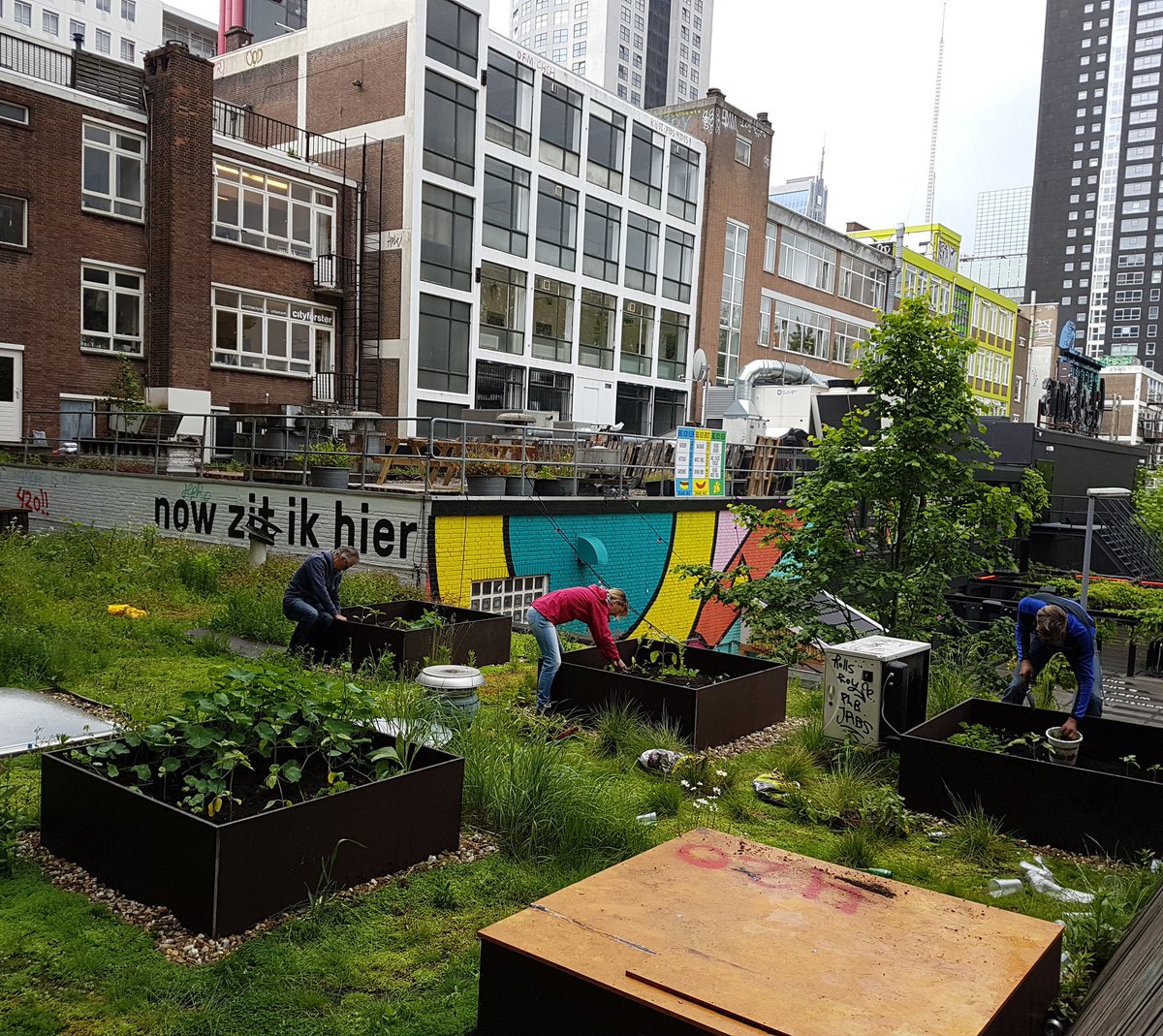 d_akkers's tweet image. Now zit ik hier ... working on our little #rooftopfield (#DakAkker) on the first floor next to the @BierGartenRdam