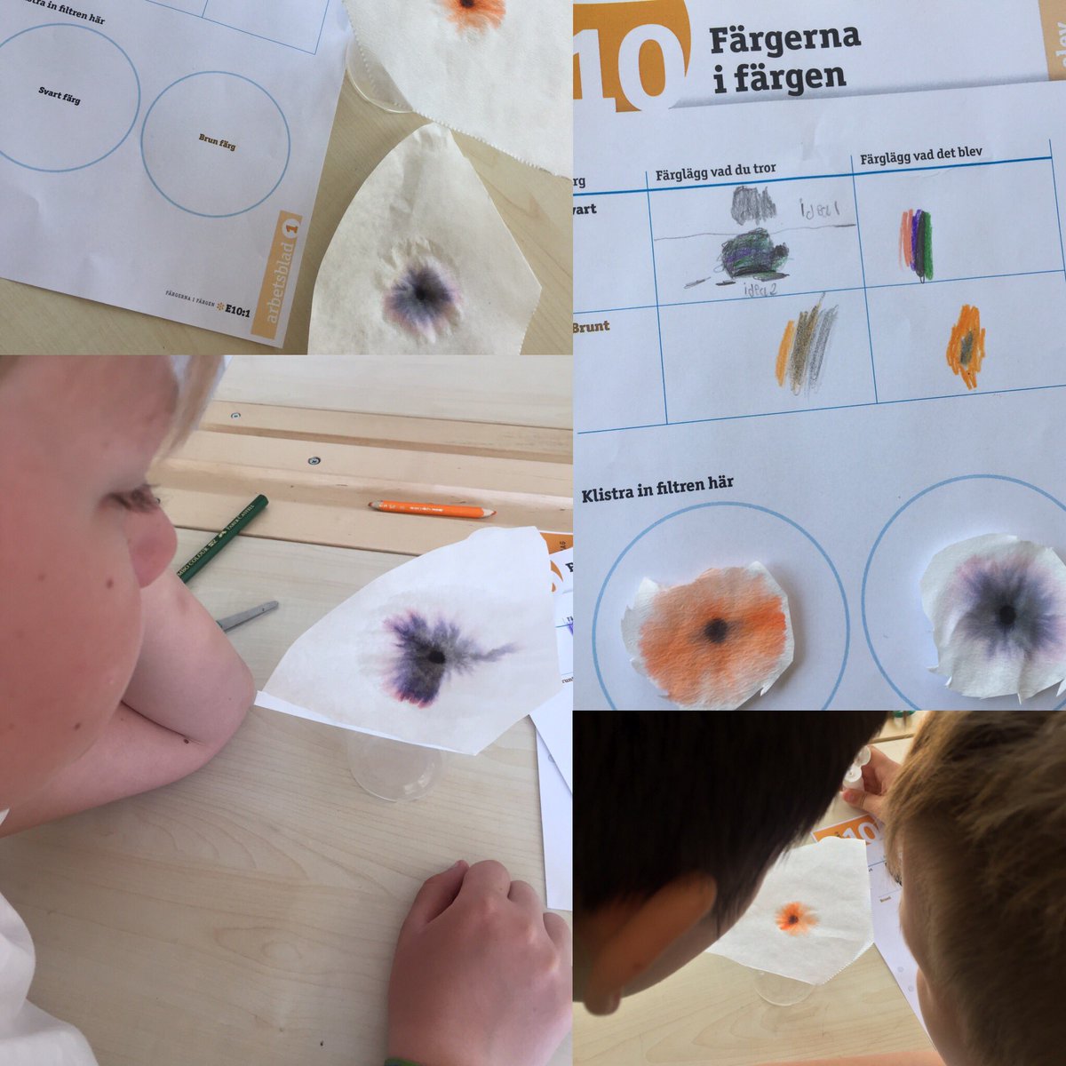 Kemi med treorna - spännande att separera färg. #kromatografi #solskol #Gillbo #kemi #NTA