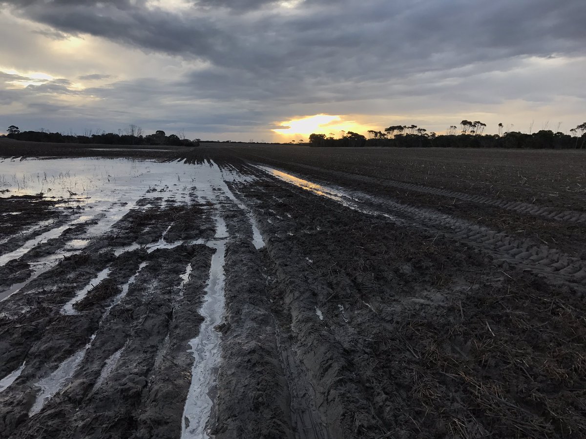 BradEgan24's tweet image. And not one blocked boot 😅 #plant17 #rootboot #ctf