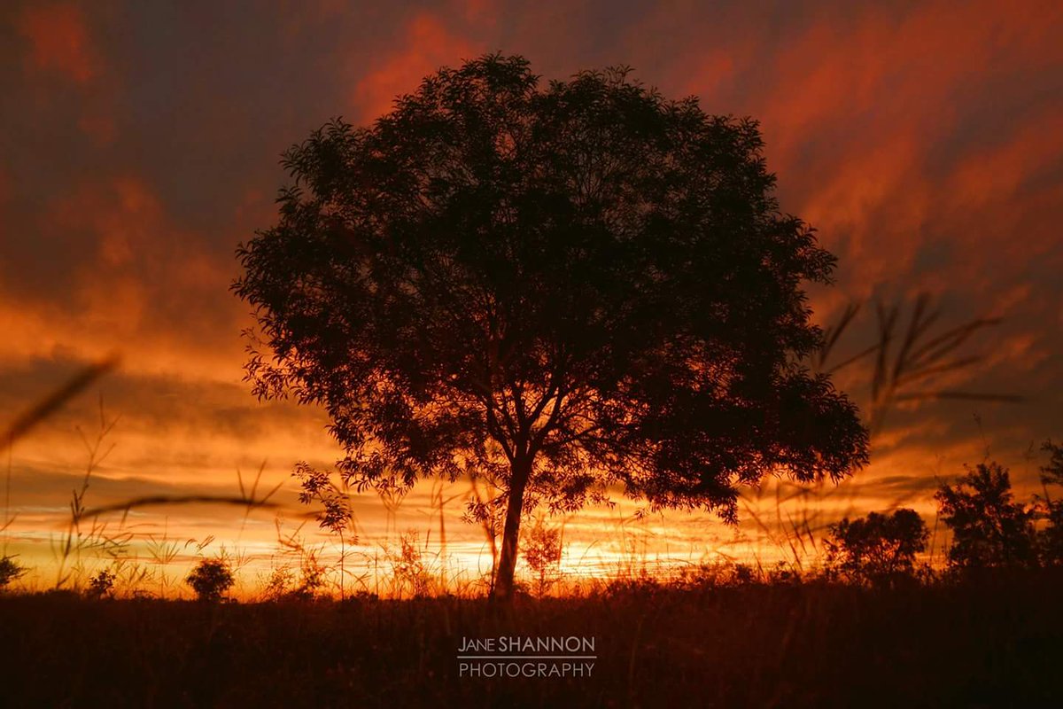 janeshannon71's tweet photo. Today #sunset after the rain #Jambin #centralqueensland @hannahjmcewan @BOM_Qld @BOM_au @WINNews_ROK https://t.co/jDDjii1FVl