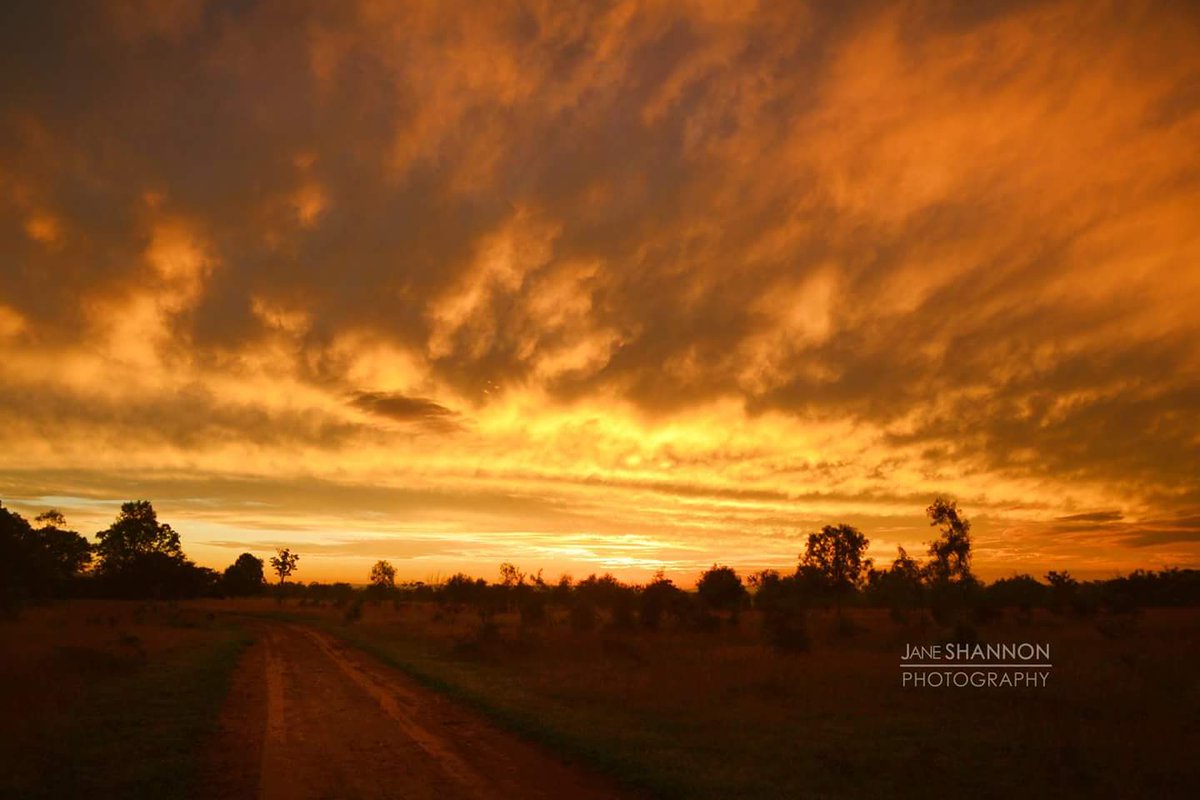 janeshannon71's tweet photo. Today #sunset after the rain #Jambin #centralqueensland @hannahjmcewan @BOM_Qld @BOM_au @WINNews_ROK https://t.co/jDDjii1FVl