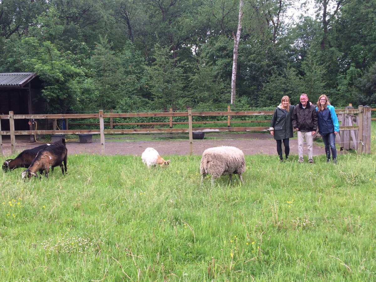 sHeerenLoo's tweet photo. Het is de 'day after' #sHLDoet 2017.  Een dag van van ontmoetingen, klussen en samenzijn. Sfeerimpressie: https://t.co/EeMXnXJcYT https://t.co/uJrB0t3D7h
