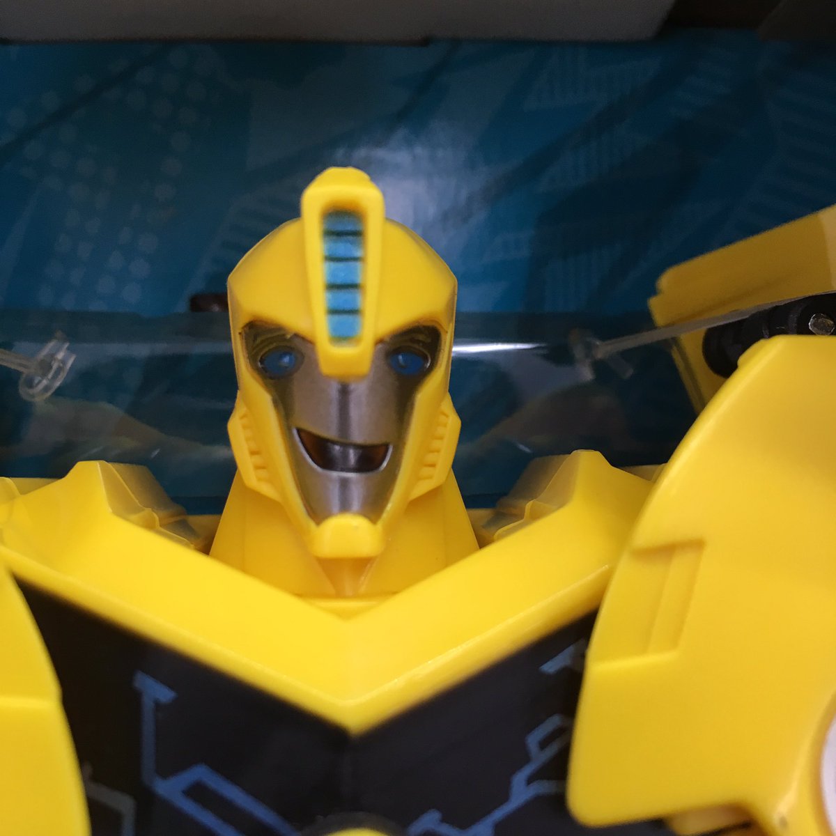 passivelyfabail's tweet photo. #BeeFace @thatbuggygirl @pockysquirrel @BROserade https://t.co/vXv9dEYXRO