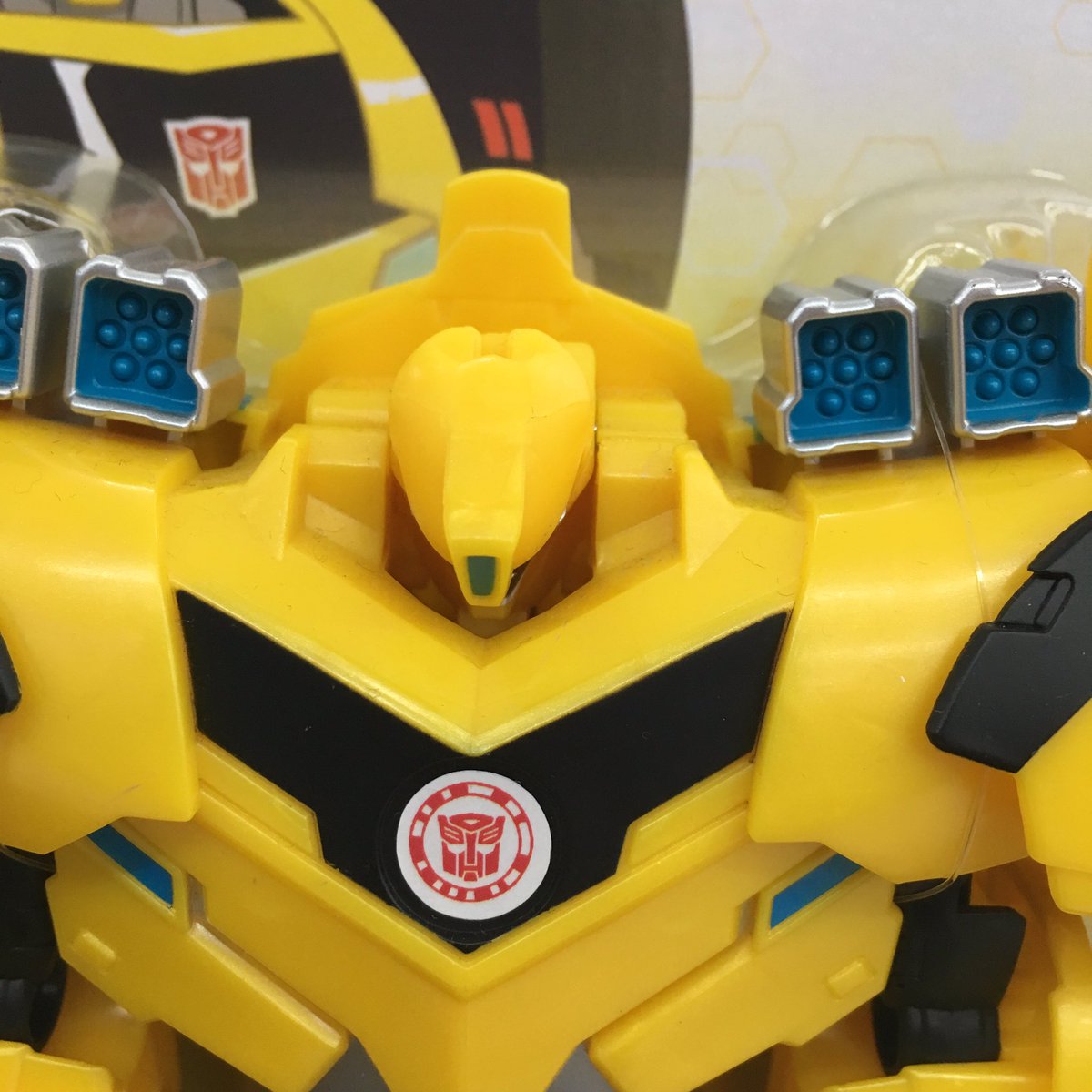 passivelyfabail's tweet photo. #BeeFace @thatbuggygirl @pockysquirrel @BROserade https://t.co/vXv9dEYXRO