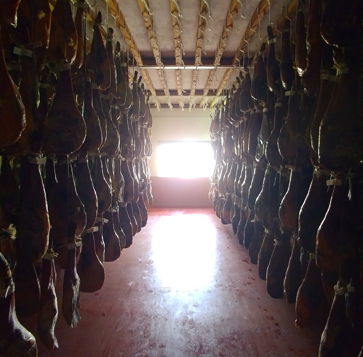 jasonsplaces's tweet photo. #Friyay means a new video! This week I try the world's most expensive ham and get bitten by a horse 🐖🐎 #foodblogger 
https://t.co/TEvuopLVVR https://t.co/vjDlgBOzbJ