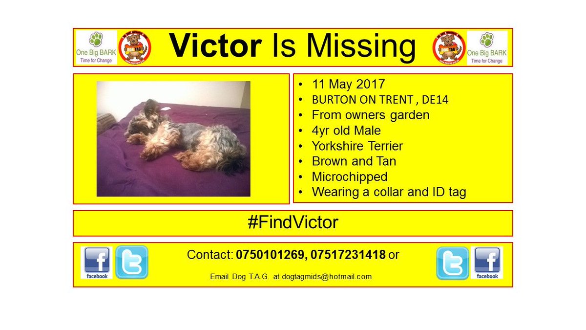 chipandscan's tweet photo. #findvictor where are you? #toohottohandle #woof #woofwoofwednesday https://t.co/uJFFXqA3ds