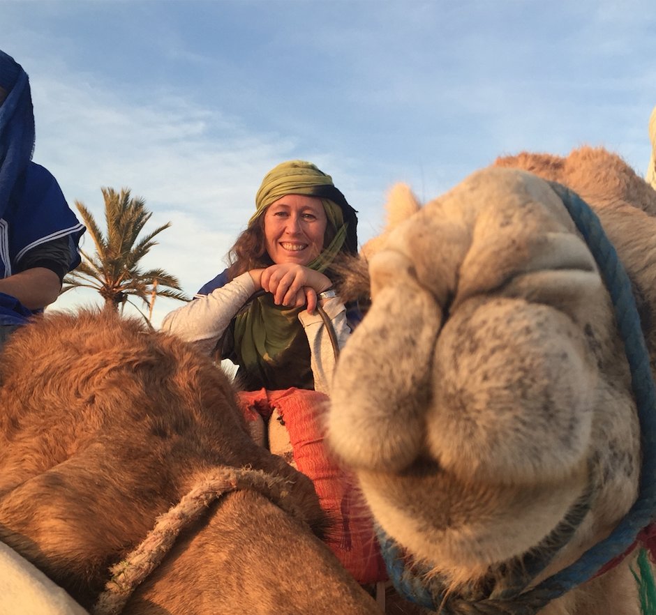 WhereaboutsHols's tweet photo. We're delighted to announce @aliceoutthere1 , presenter of #MorrocoToTimbuktu as our brand ambassador! https://t.co/IooNtcEpAd https://t.co/kxgUBcXsXJ