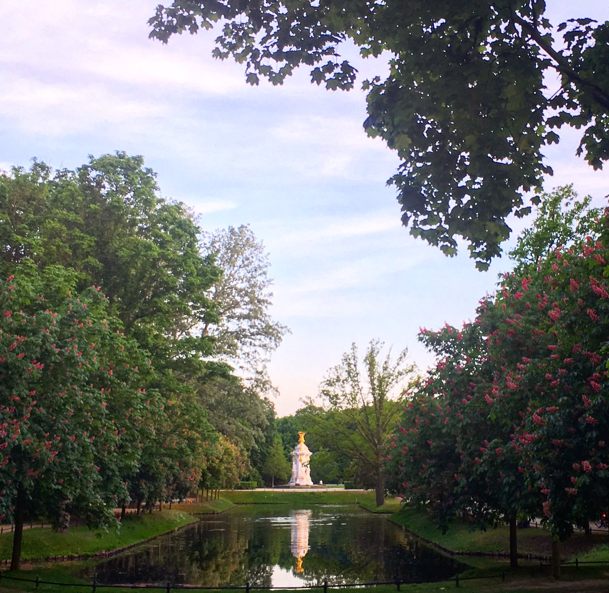 MariaMankarious's tweet photo. الصيف في #برلين 
#tiergarten https://t.co/7xNwQ7vsdv