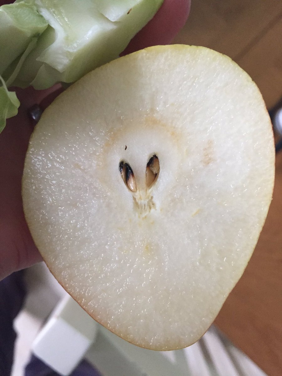 miabambina's tweet photo. Found an alien in my pear....@AldiUK 😱👽 https://t.co/4dw9PlVGTp
